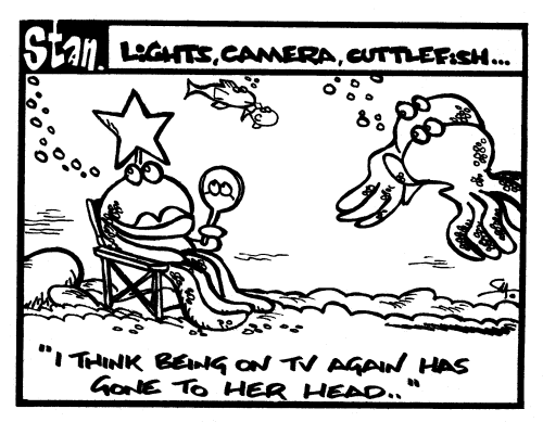 Lights, camera, cuttlefish