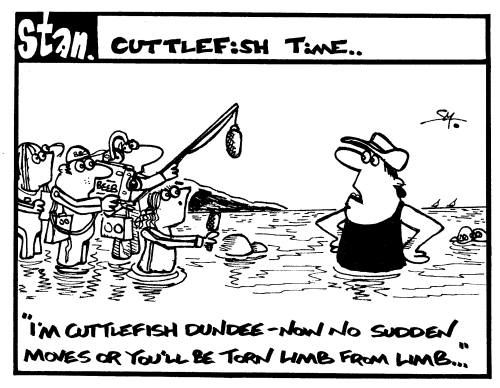 Cuttlefish time